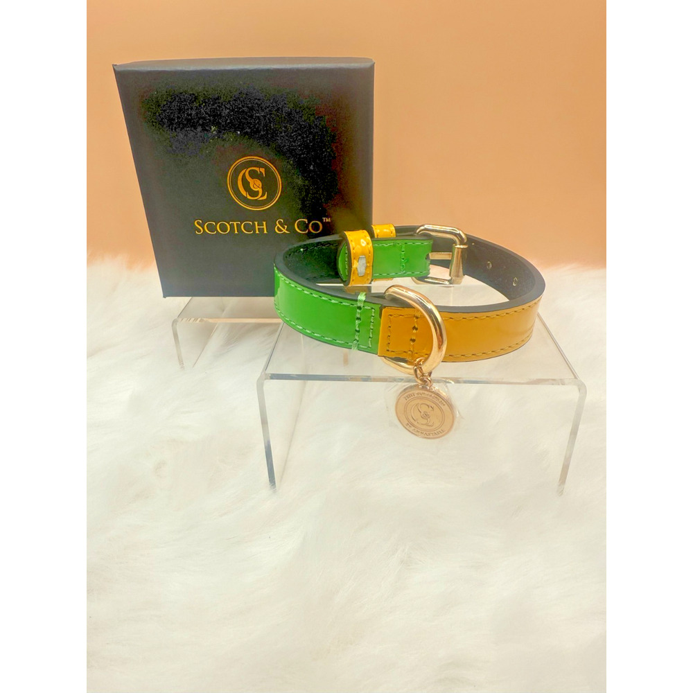 Scotch & Co Patent Leather Dog Collar Green & Yellow W/Bag and Box